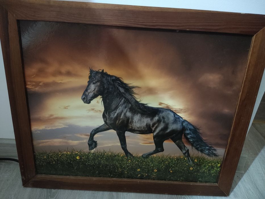 Obraz z koniem z drewnianą ramką