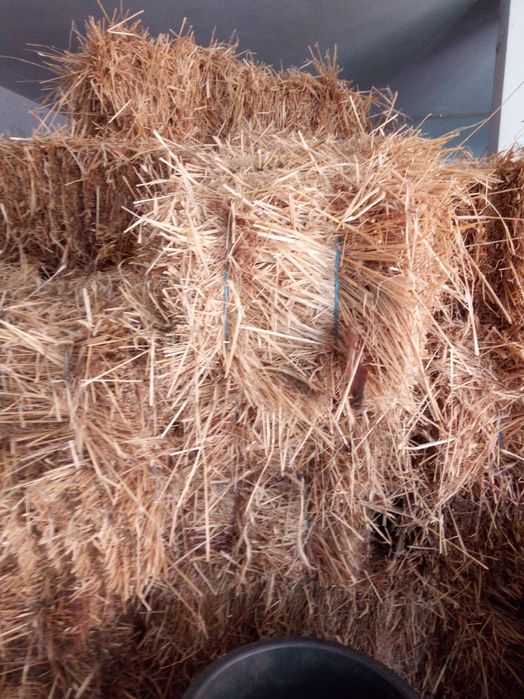 Fardos de palha para venda