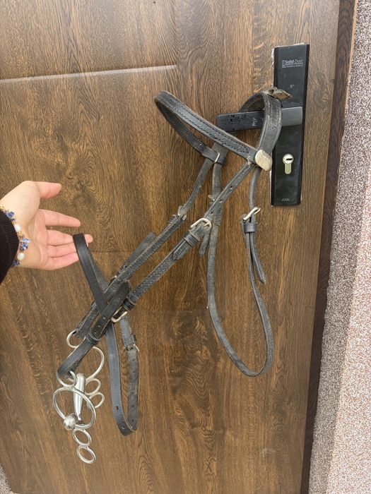 puszorek dla kuca i ogłowie z wędzidłem