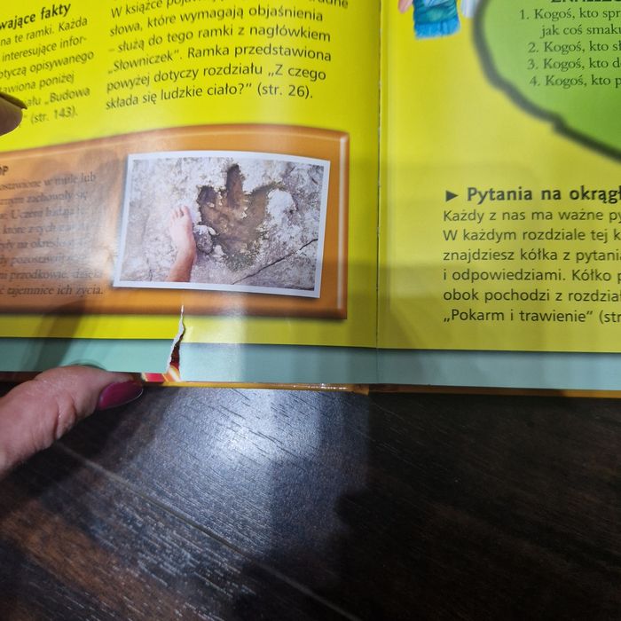 Wszystko co warto wiedzieć o ludzkim ciele