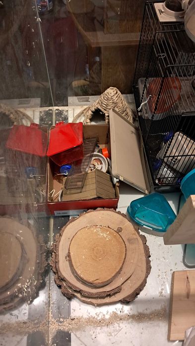 Akwarium terrarium - zestaw do hodowli