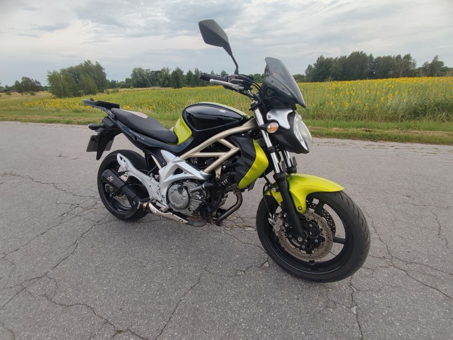 Suzuki sfv sv 650 Gladius