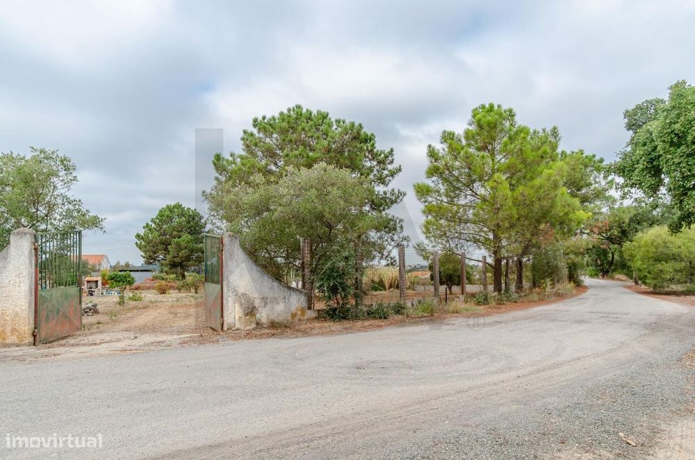 Terreno Urbano para Construção - Barreiro