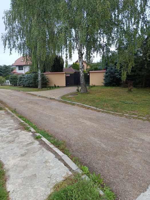 Zdjęcie 8