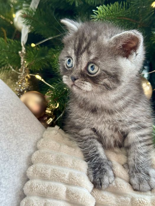 продається плюшевий хлопчик