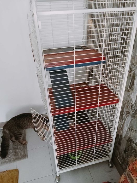 Gaiola para chinchila/furão etc