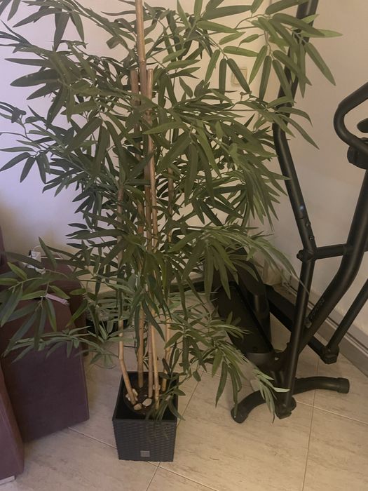 Planta artificial leroy