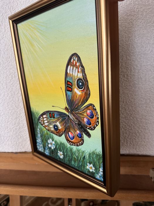 Картина «Метелик Павлине око»