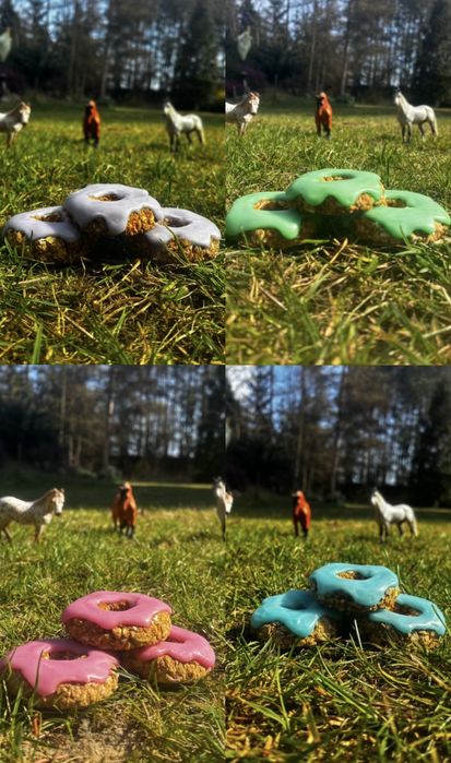 Horse donuts, przysmaki, ciastka z lukrem dla koni