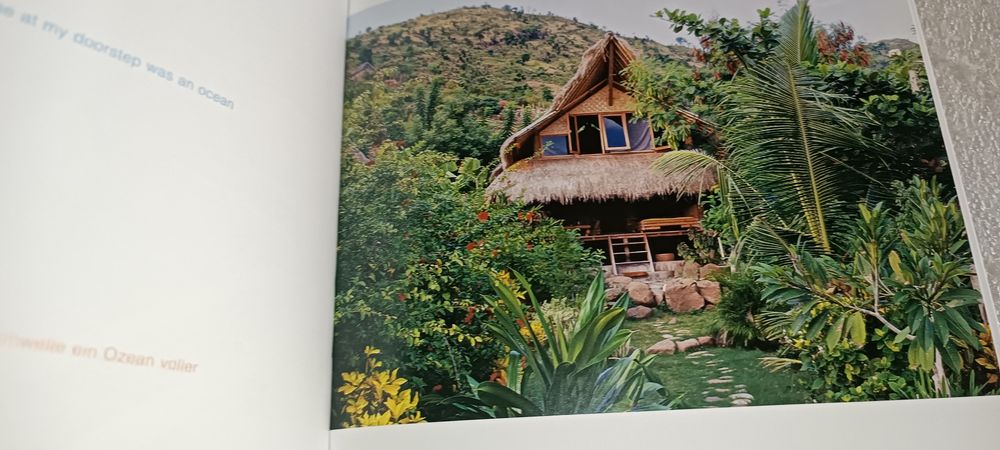 antigo livro da taschen Cheap Hotels by Daisann McLane