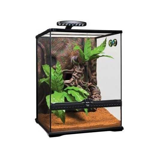 PORTES GRÁTIS - EXO TERRA Kit Terrario para Gecko