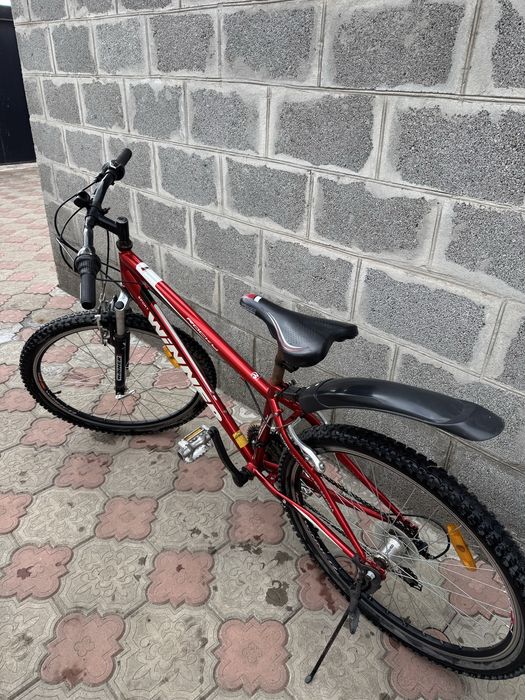 Велосипед winner