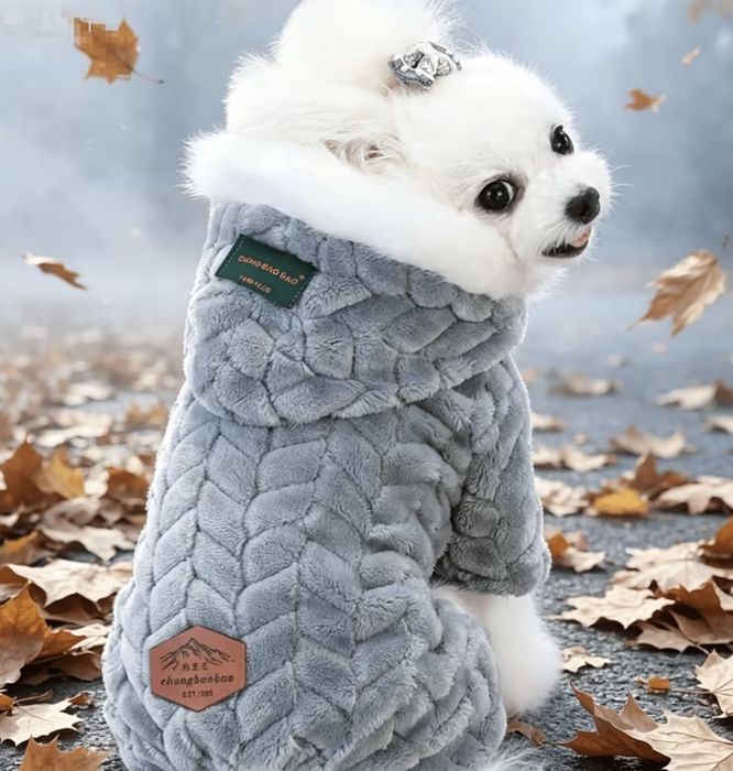 комбінезон для собаки