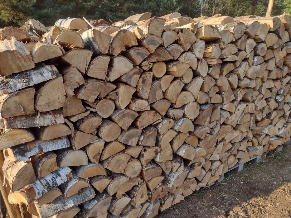 Drzewo, drewno opałowe kominkowe