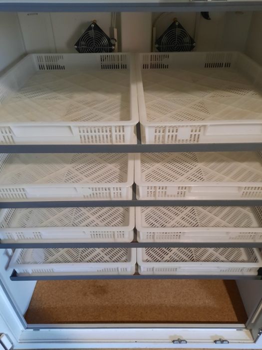 Продам інкубатори ,,Тандем-Nova”