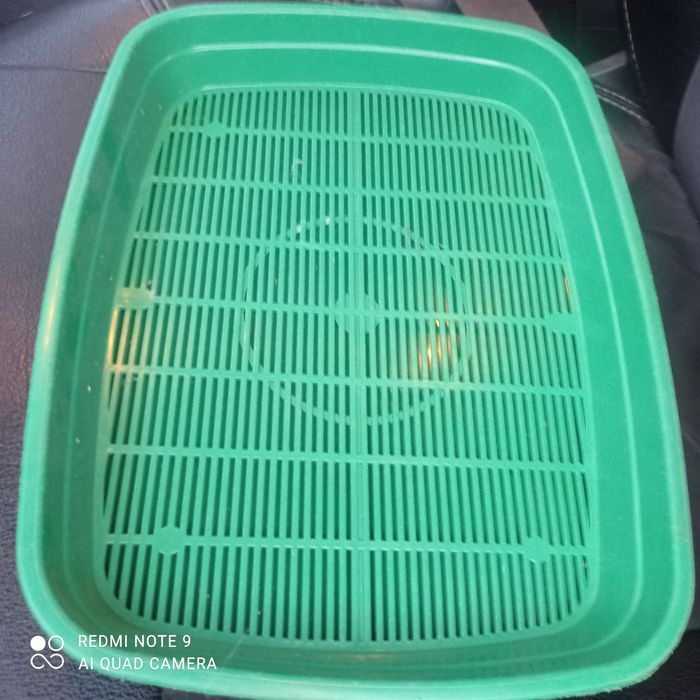 Лоток для  котів