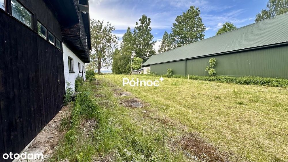 Potężny areał I Chyżne I 2.9ha
