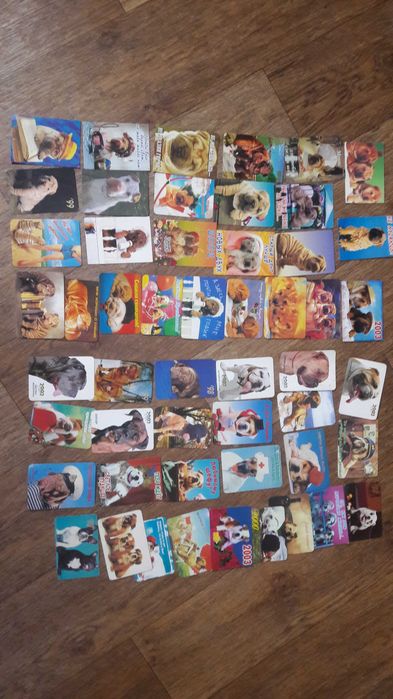 Календарик собаки