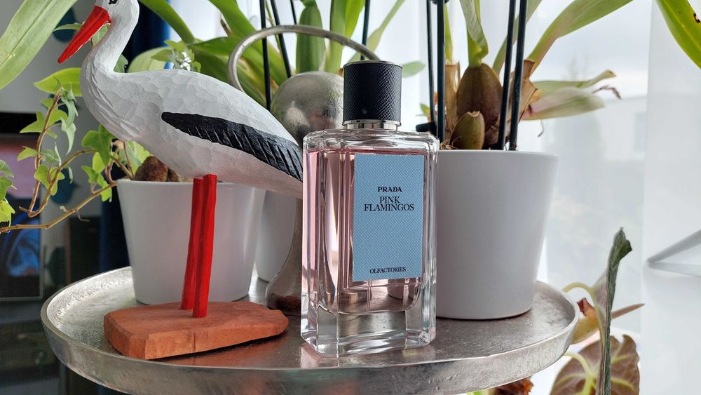 Prada Pink Flamingos Butikowe