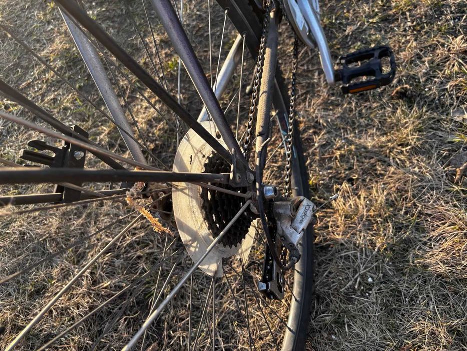 Rower Peugeot model Berkeley