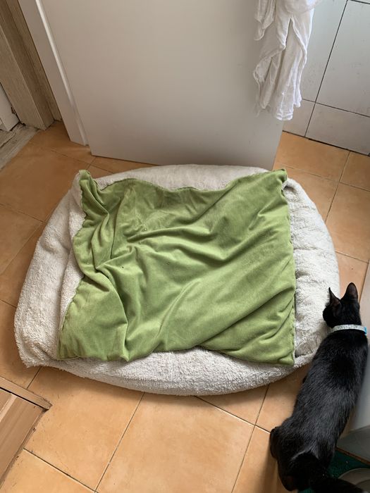 Cama XL para cão