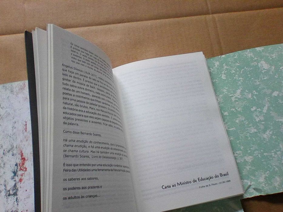 Por uma educação Romântica
