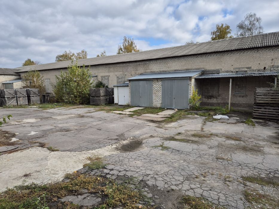 Продаж підприємства село Микільське