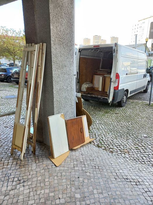 Recolha de monos, recolha de móveis, lixo, eletrodomésticos