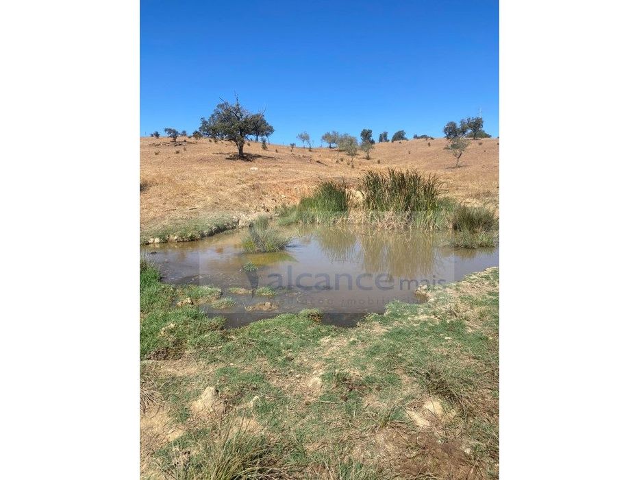 Propriedade com 6,625 hectares em Serpa / Baixo Alentejo