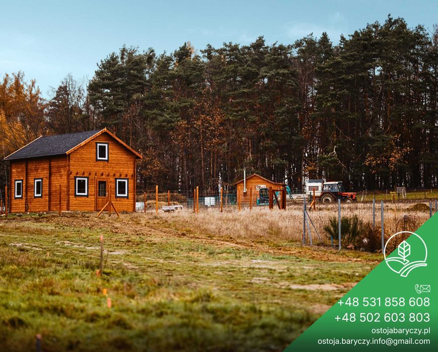 Działki w Dolinie Baryczy. Las, stawy i cisza. Bez prowizji!
