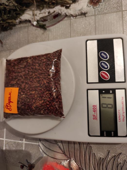 Продам насіння сорго віничне