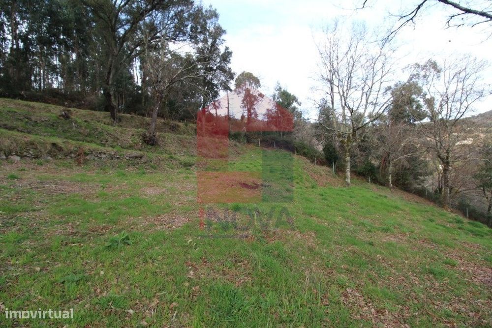 Terreno florestal, Duas Igrejas