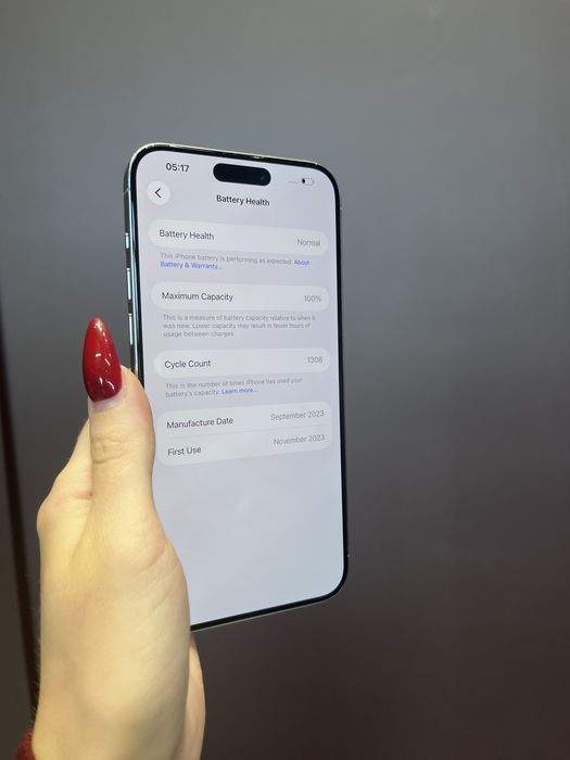 iPhone 15 Pro Max 256GB Szary | Bateria 100% | Rozliczymy Twój iPhone | Gwarancja 12 mies.