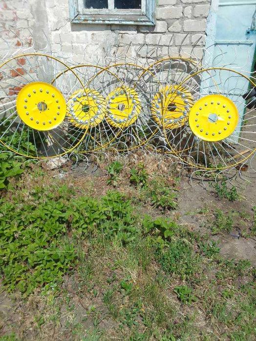 Сінограбарка нова продаж