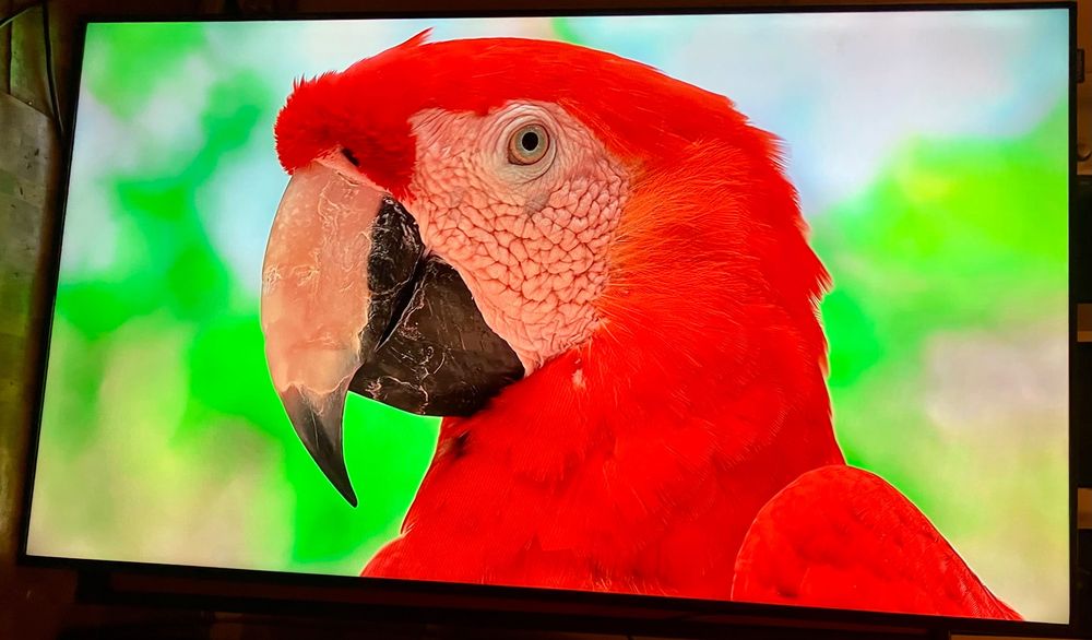 Monitor Samsung 55cali przemysłowy BD55E