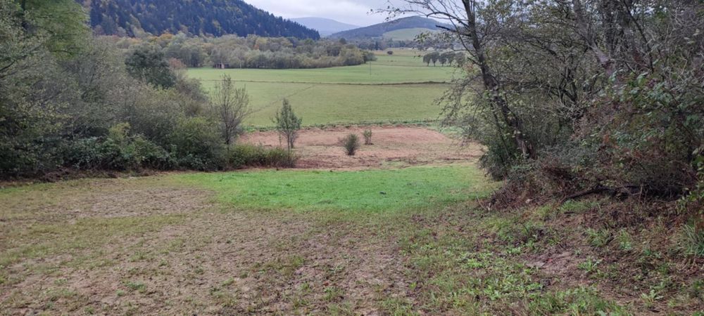 Działka 50 arów, Krempna