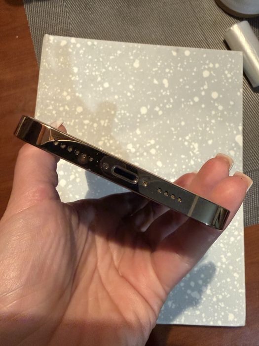 iPhone 12 Pro Max 256GB