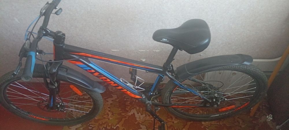 Велосипед Avanti Premier