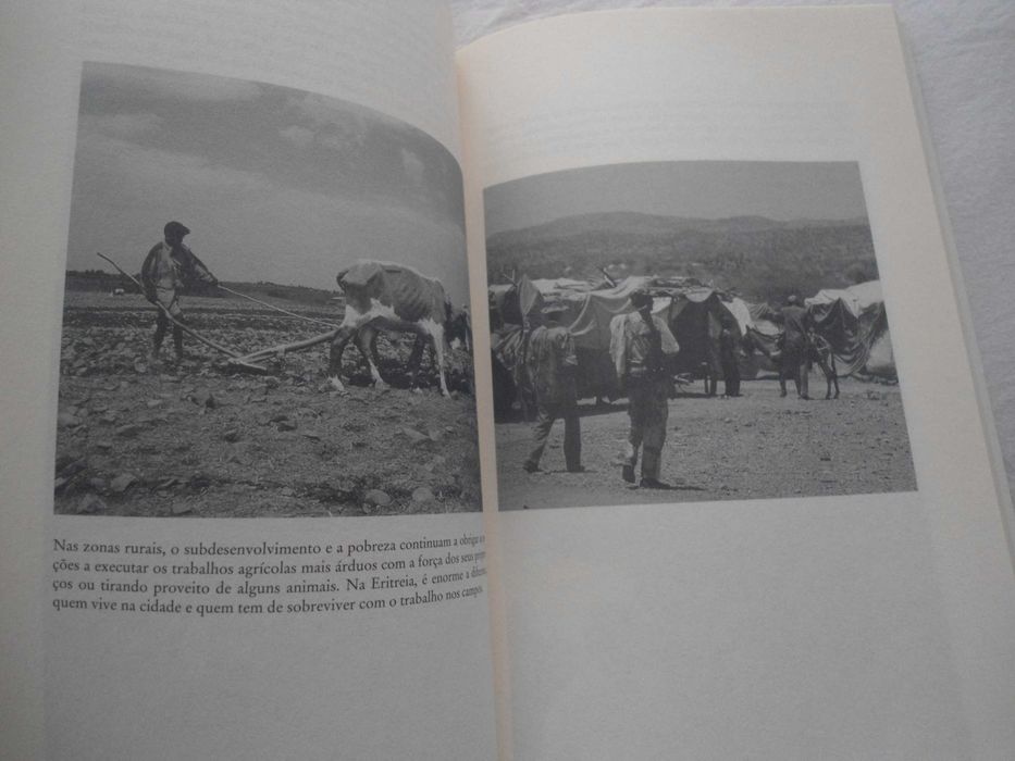 Livre! A odisseia de uma mulher em fuga por Feven A. Tekle e outro