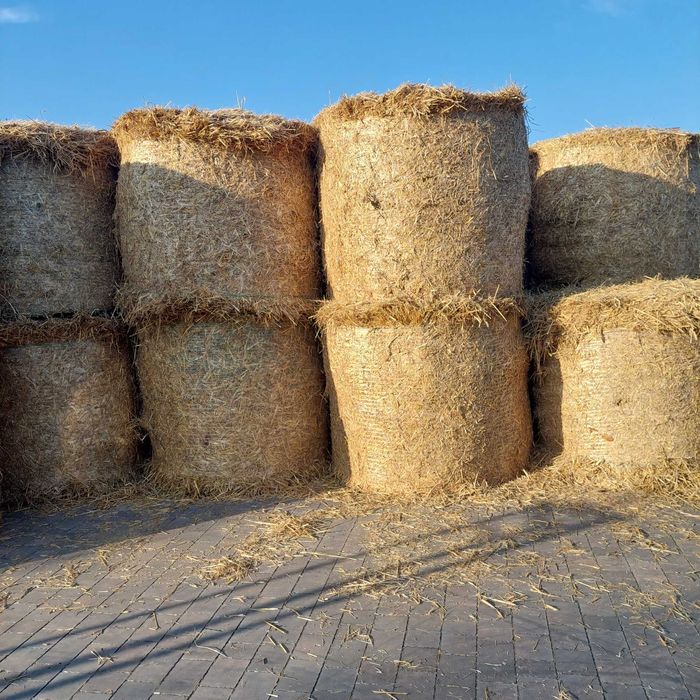 siano słoma sianokiszonka