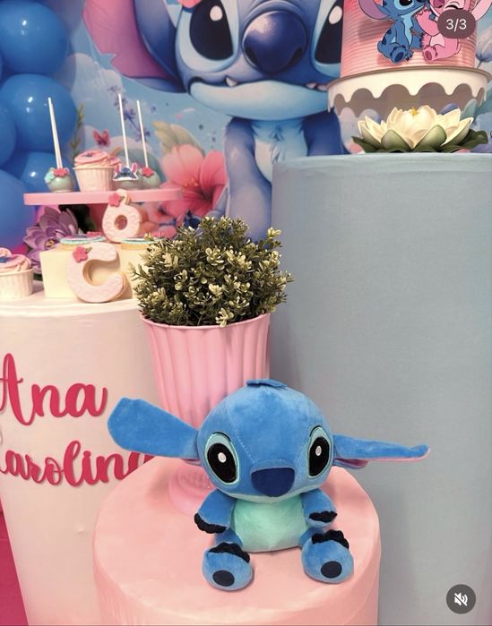 Decoraçao de Festas / Eventos / Casamentos