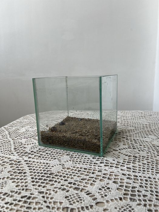 Акваріум квадратний
