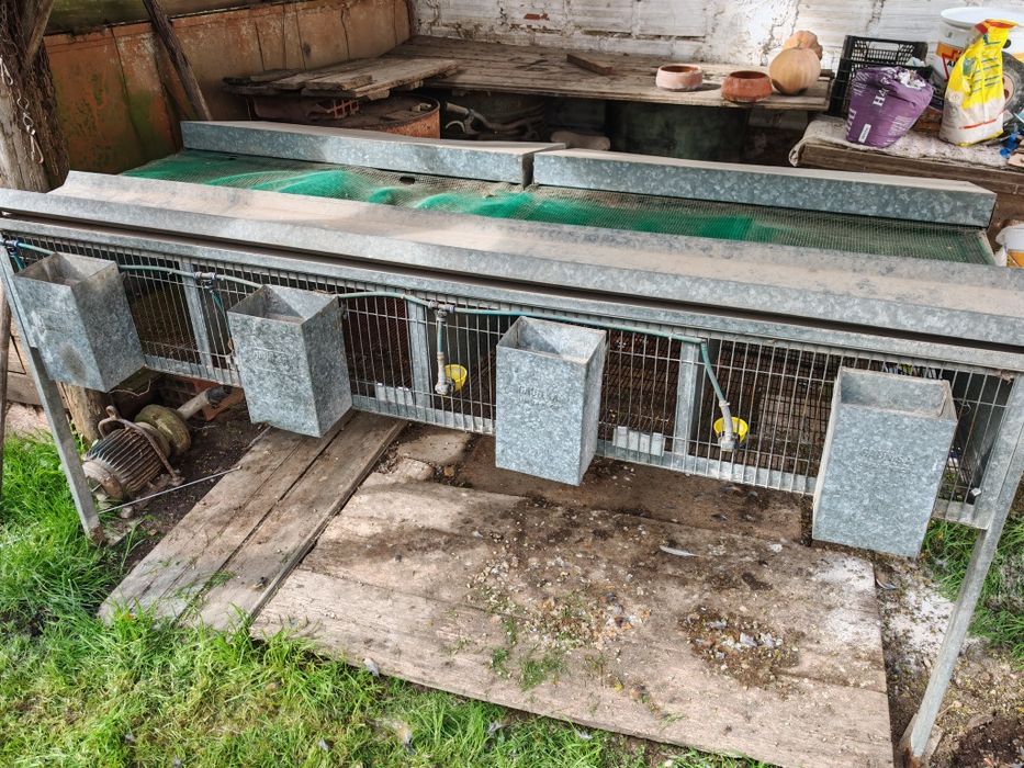 Jaula para perdizes/codornizes