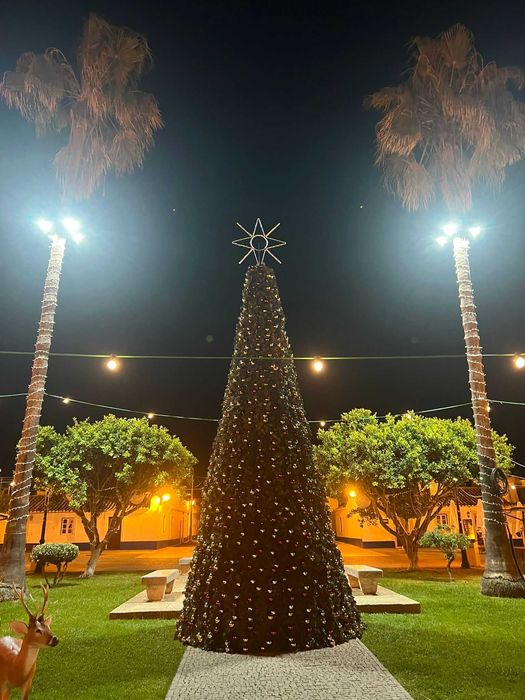 Arvores de Natal