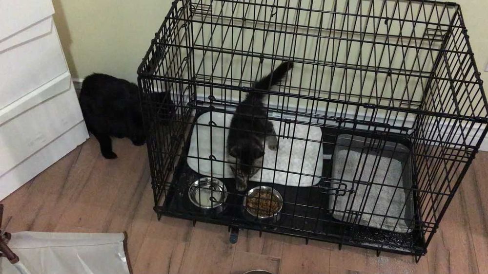 Клітка для собак Польша, клетка переноска вольер для собак ВСІ РОЗМІРИ