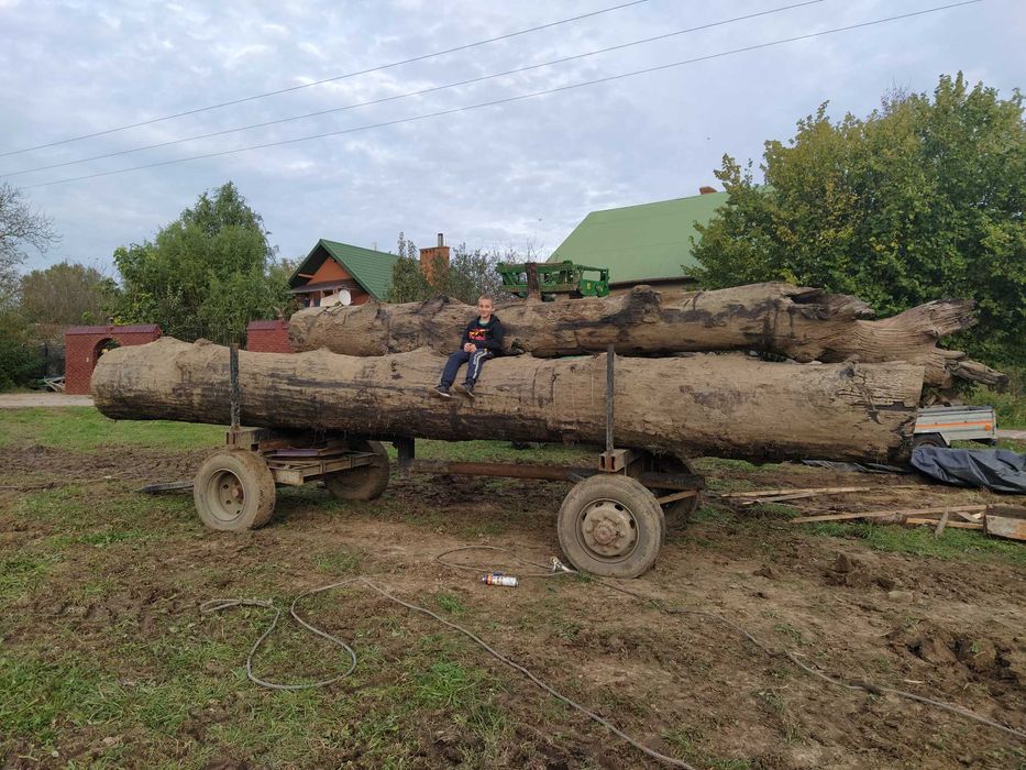 Czarny dąb deski Brusy monolity