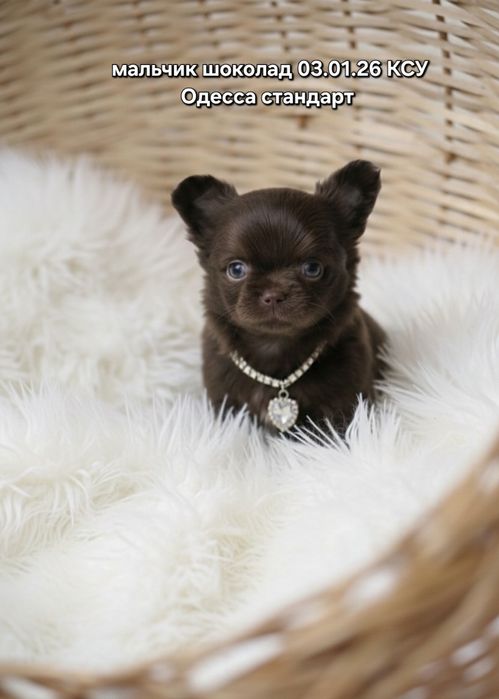 Эффектный антидепрессант КСУ