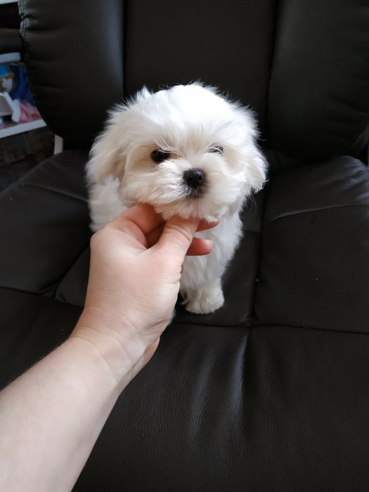 Щастя Можна Купити!!!