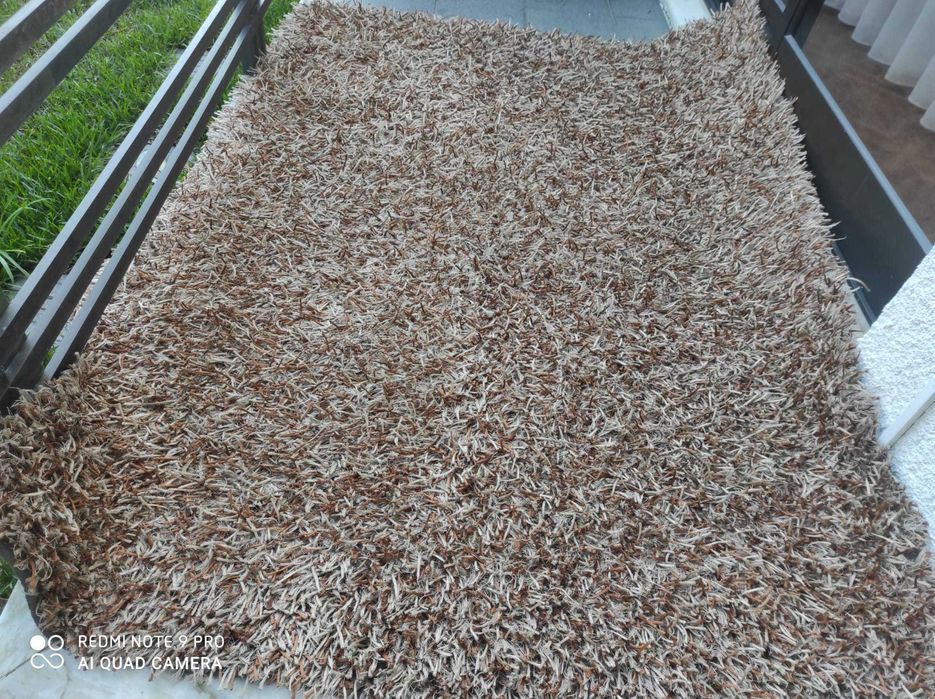 Tapete de sala em ótimo estado