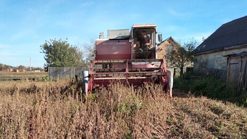 Комбайн Massey Ferguson 87